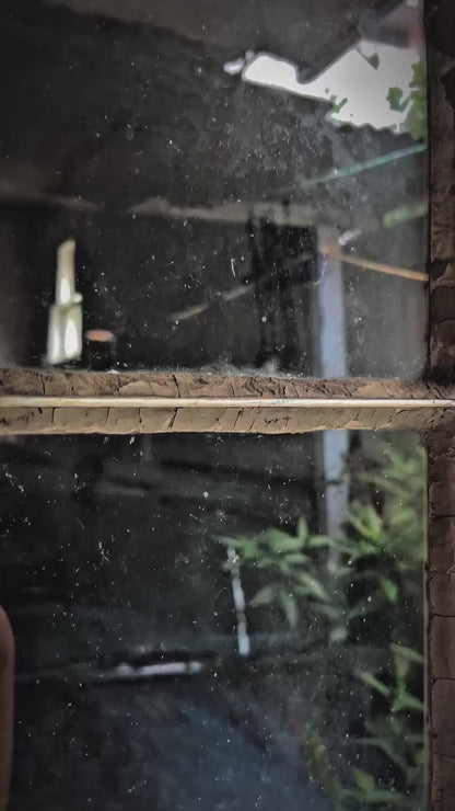 Removedor de Sarro Optimum – Limpieza profunda profesional